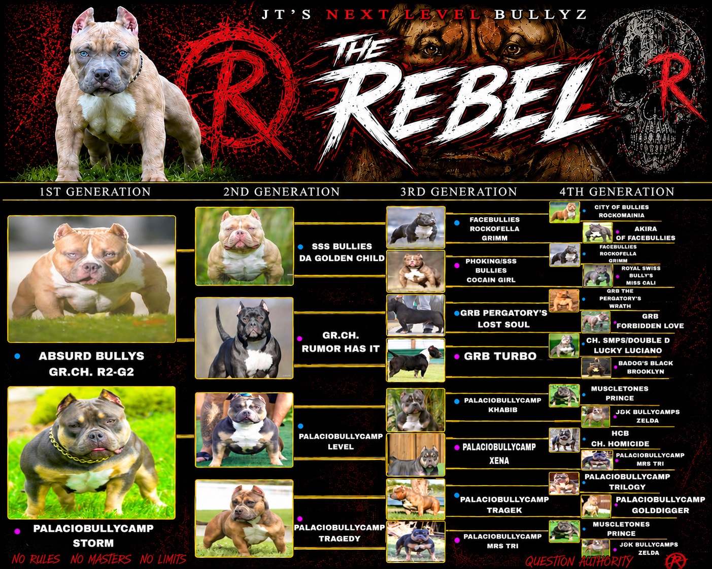 Da Rebel four-generation pedigree graphic