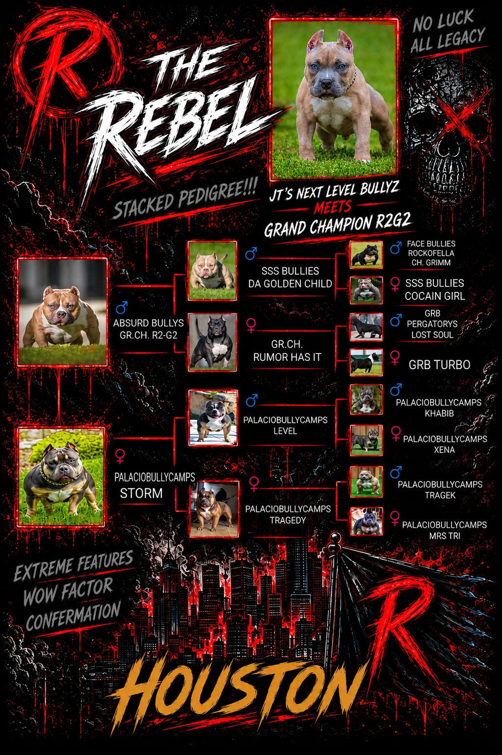 Da Rebel lineage graphic showing stacked pedigree from JT's Next Level Bullyz