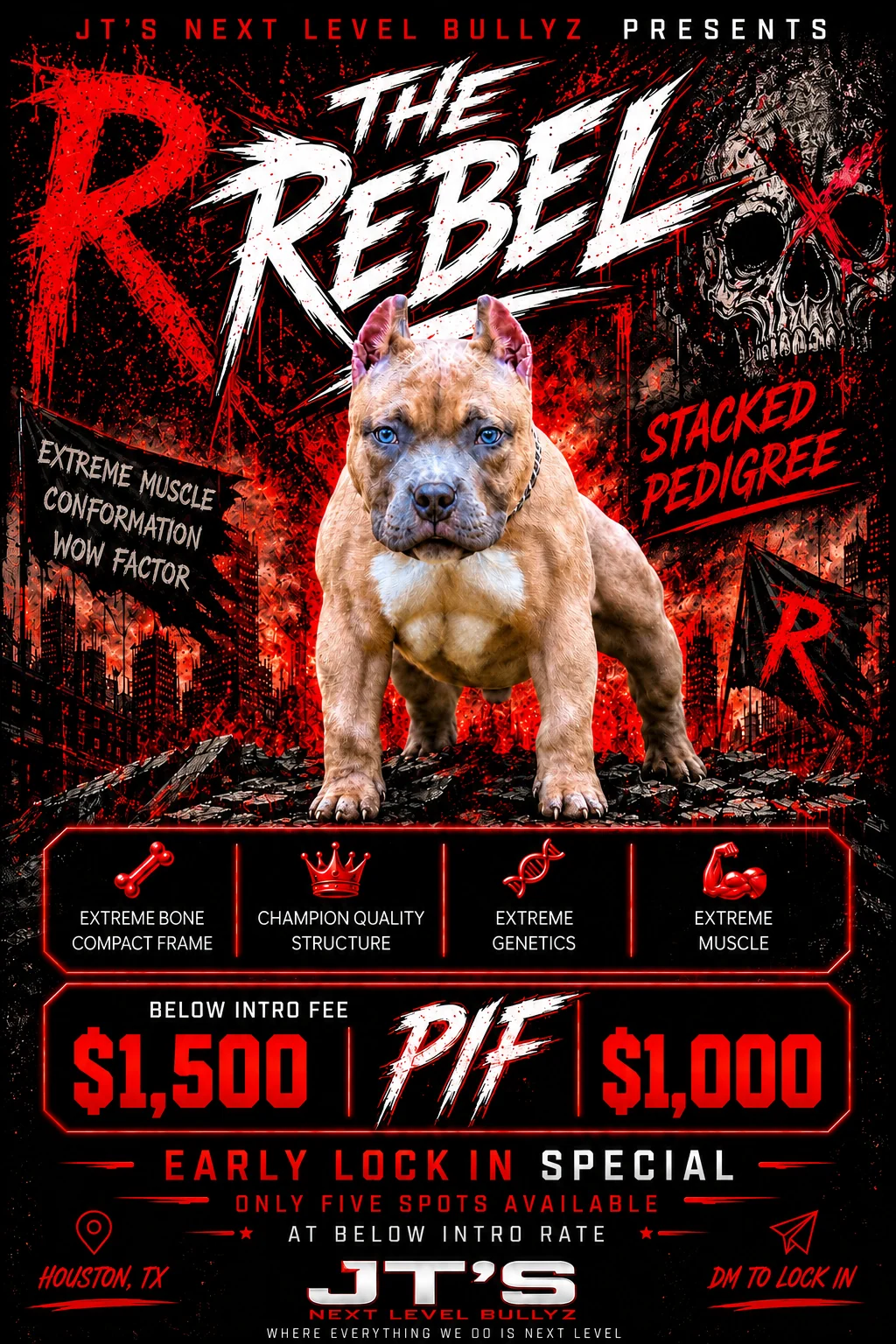 Da Rebel stud promotion graphic showing early lock-in details, Houston Texas location, stacked pedigree, and pricing information